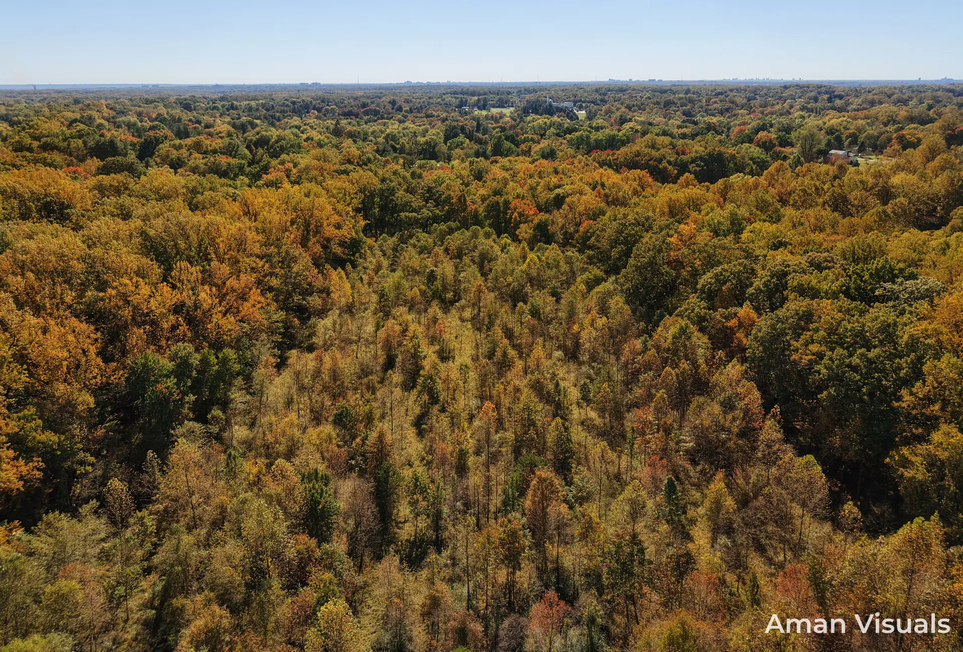 Wooded acreage in autumn colour photographed from above