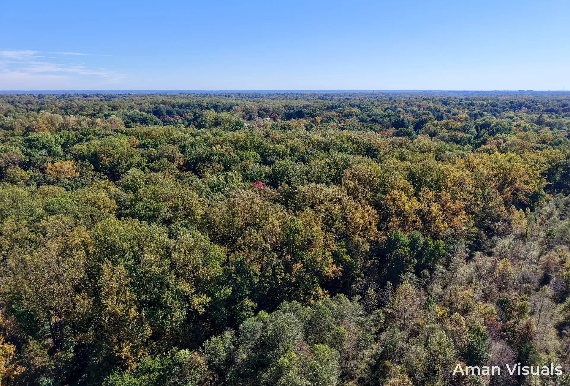 Forest horizon photographed from above