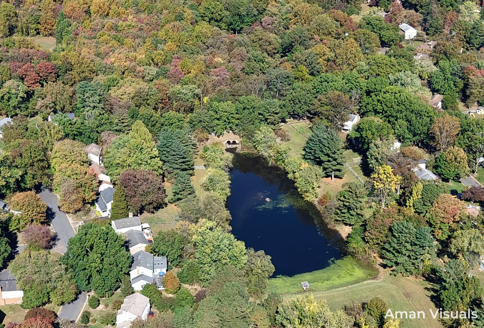 Homes around a pond photographed from above