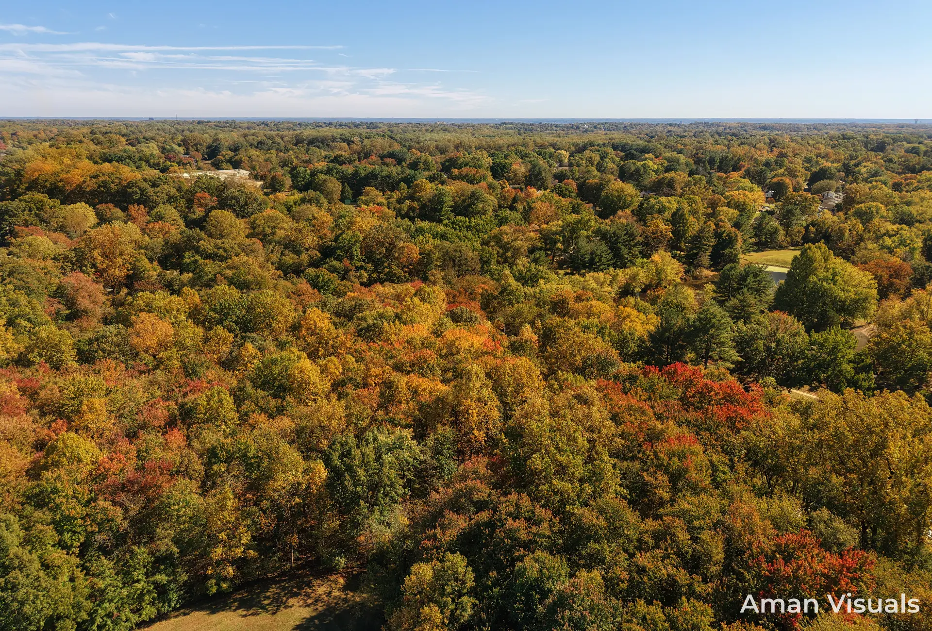 Autumn woodland canopy photographed from above